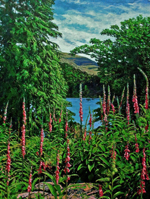 Durrus painting by Nigel Overton