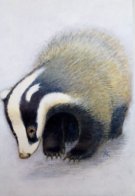 Badger Acrylic on Canvas