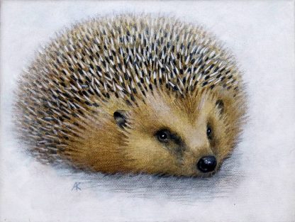 Hedgehog Acrylic on Canvas
